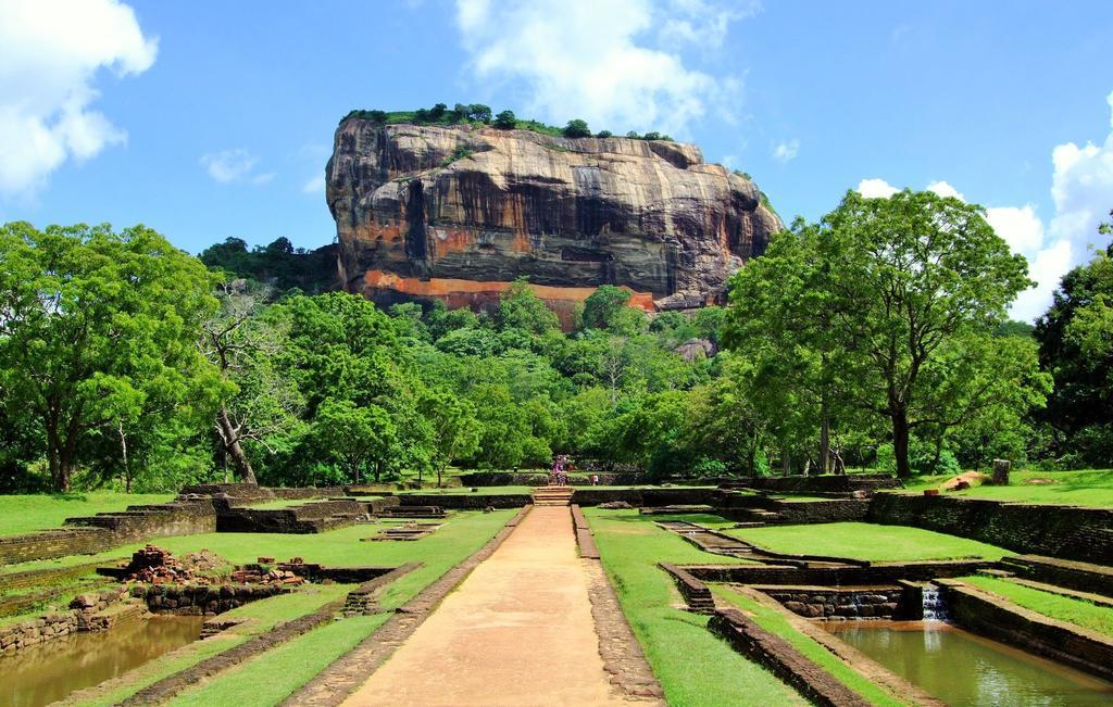 Sigiriya Flower Guest Экстерьер фото