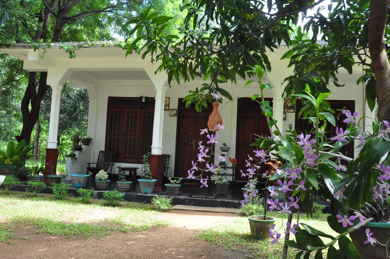 Sigiriya Flower Guest Экстерьер фото